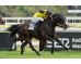  Carrera: P.Hipódromo de San Sebastián Caballo: Almanzora Monta: J.Gelabert
